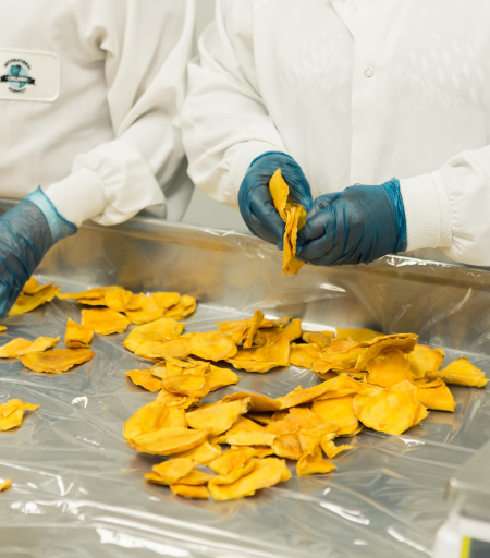 Industrial Institutional Food Processing Spice Blends